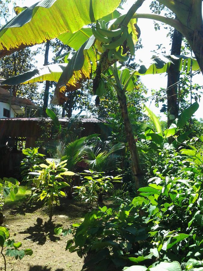 Osa De Rio Hotel Uvita Luaran gambar
