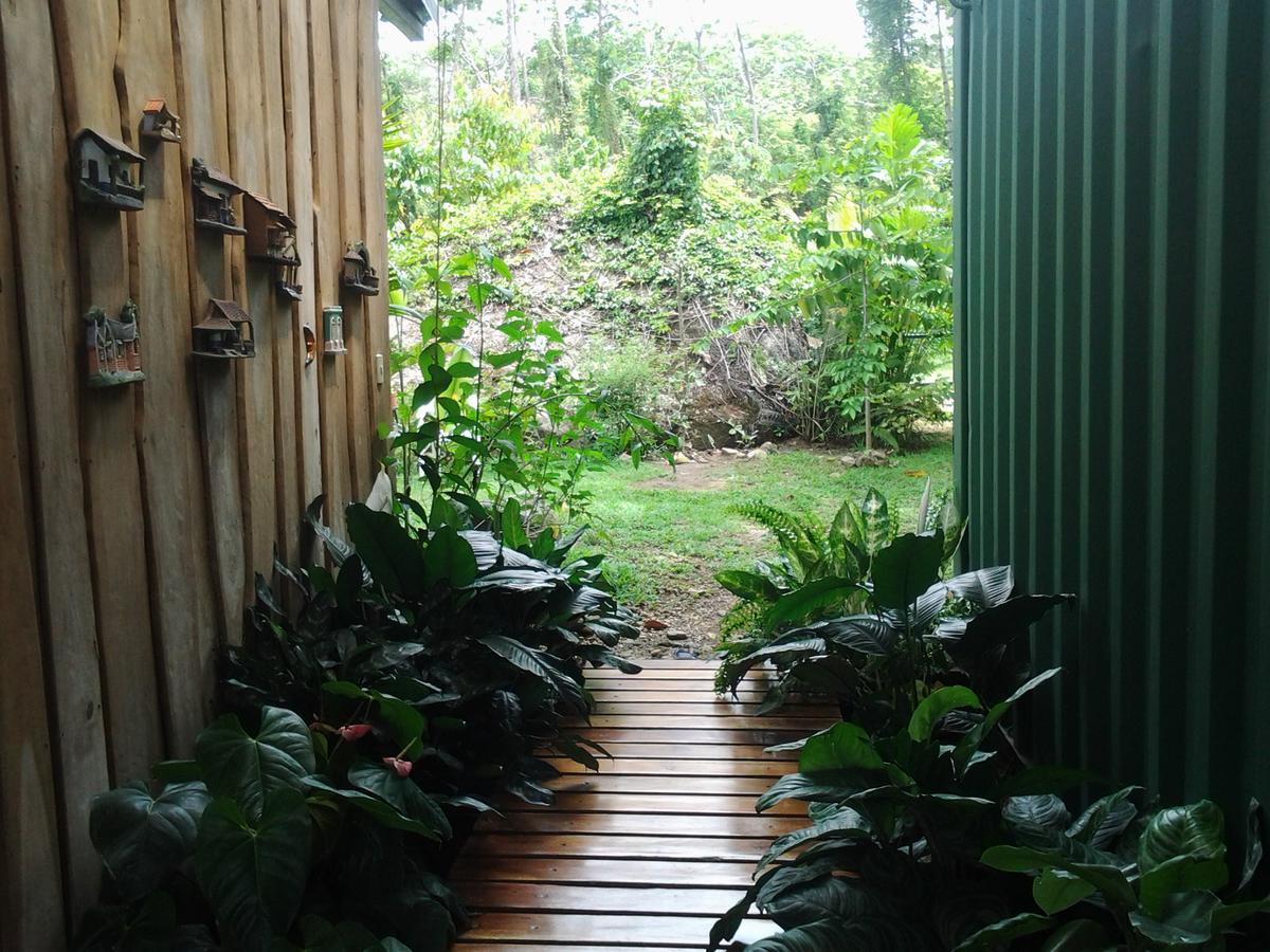 Osa De Rio Hotel Uvita Luaran gambar